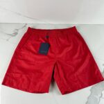 LOUIS VUITTON LVSE Signature Swim Board Shorts