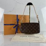 LOUIS VUITTON Pochette Accessoires NM