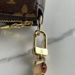 LOUIS VUITTON Pochette Accessoires NM