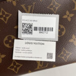 LOUIS VUITTON Pochette Accessoires NM