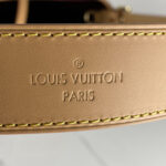 LOUIS VUITTON CarryAll PM