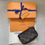 LOUIS VUITTON Pochette Accessoires Mini