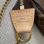 LOUIS VUITTON Pochette Accessoires Mini