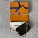 LOUIS VUITTON Pochette Accessoires Mini