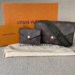 LOUIS VUITTON Pochette Félicie Strap & Go