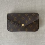 LOUIS VUITTON Pochette Félicie Strap & Go