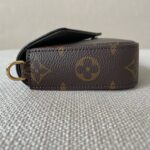 LOUIS VUITTON Pochette Félicie Strap & Go