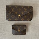 LOUIS VUITTON Pochette Félicie Strap & Go