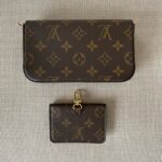 LOUIS VUITTON Pochette Félicie Strap & Go