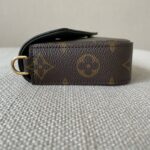 LOUIS VUITTON Pochette Félicie Strap & Go