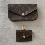 LOUIS VUITTON Pochette Félicie Strap & Go