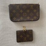 LOUIS VUITTON Pochette Félicie Strap & Go