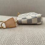 LOUIS VUITTON Pochette Accessoires Mini