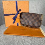 LOUIS VUITTON Pochette Accessoires Mini