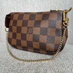 LOUIS VUITTON Pochette Accessoires Mini